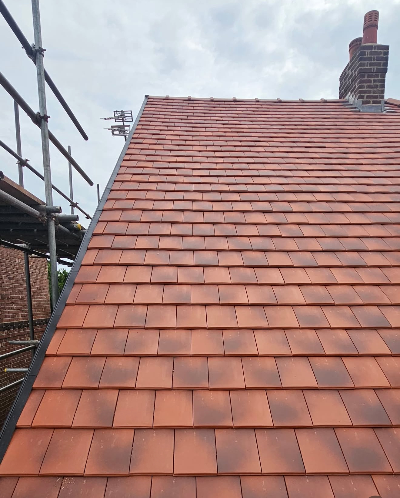 Full slope of new terracotta clay plain tiles with scaffolding alongside